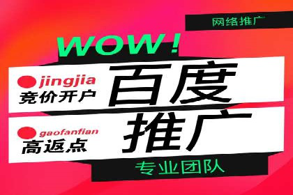 SEM托管服务，成功案例分享转化秘诀